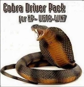 cobra-driver-pack-292x300-jpg