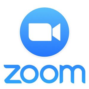 zoom-pro-annually-2-e1584358550117-300x300-1-jpg